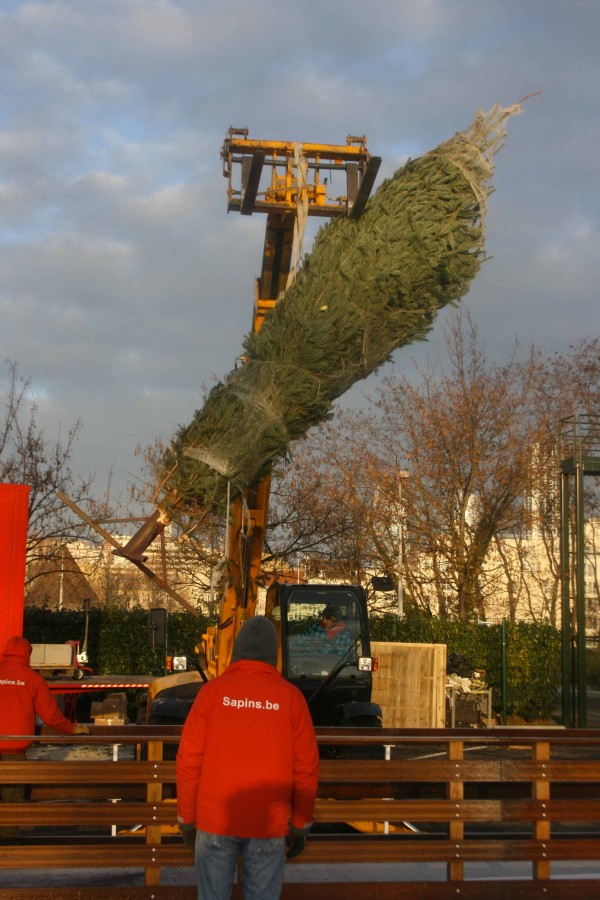 Grue transporte grand sapin Noël installation